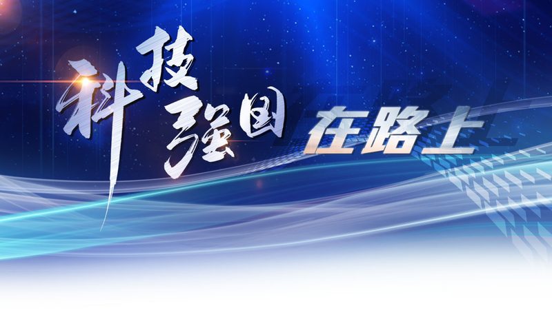 行业背景：软件定制开发的崛起与挑战
